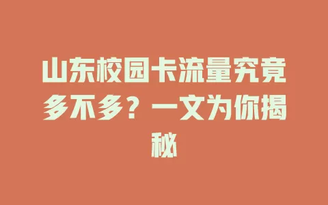山东校园卡流量究竟多不多？一文为你揭秘