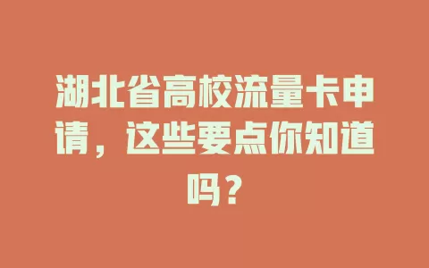 湖北省高校流量卡申请，这些要点你知道吗？