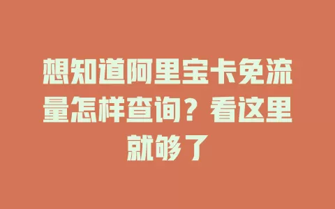 想知道阿里宝卡免流量怎样查询？看这里就够了