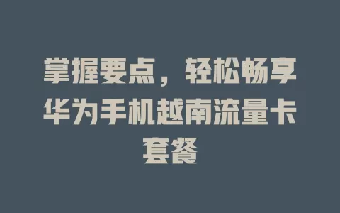 掌握要点，轻松畅享华为手机越南流量卡套餐
