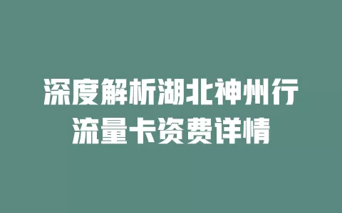 深度解析湖北神州行流量卡资费详情