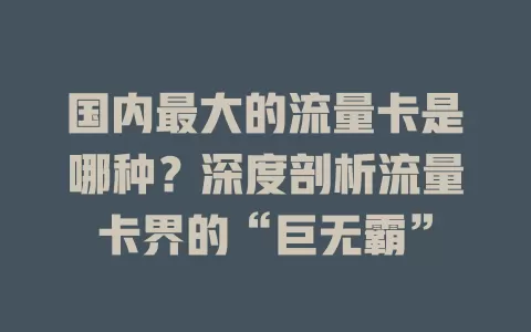 国内最大的流量卡是哪种？深度剖析流量卡界的“巨无霸”