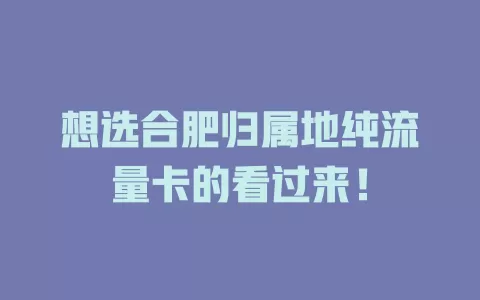 想选合肥归属地纯流量卡的看过来！