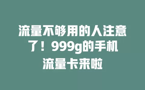 流量不够用的人注意了！999g的手机流量卡来啦
