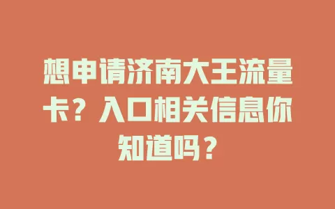 想申请济南大王流量卡？入口相关信息你知道吗？