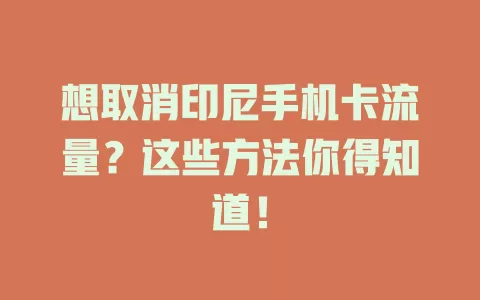 想取消印尼手机卡流量？这些方法你得知道！