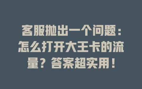 客服抛出一个问题：怎么打开大王卡的流量？答案超实用！