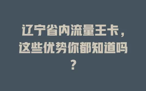 辽宁省内流量王卡，这些优势你都知道吗？