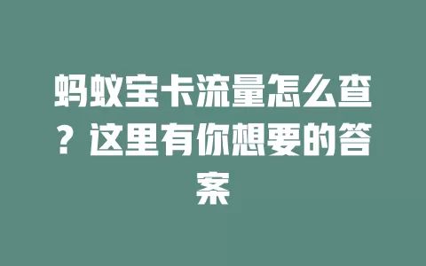 蚂蚁宝卡流量怎么查？这里有你想要的答案