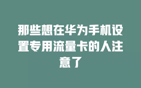 那些想在华为手机设置专用流量卡的人注意了