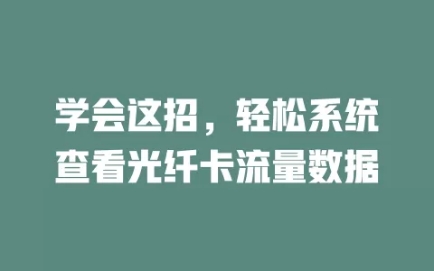 学会这招，轻松系统查看光纤卡流量数据