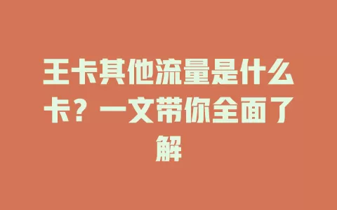王卡其他流量是什么卡？一文带你全面了解