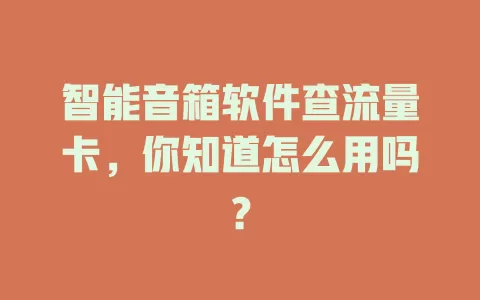 智能音箱软件查流量卡，你知道怎么用吗？