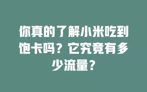 你真的了解小米吃到饱卡吗？它究竟有多少流量？