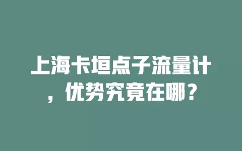 上海卡垣点子流量计，优势究竟在哪？