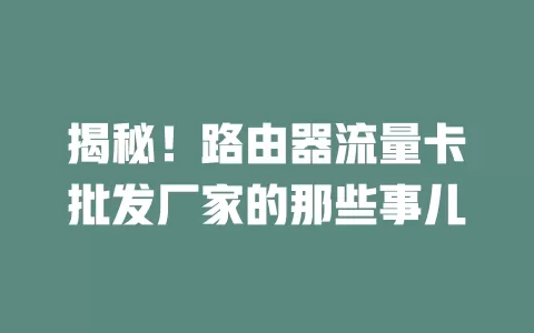 揭秘！路由器流量卡批发厂家的那些事儿