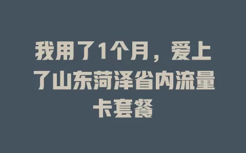 我用了1个月，爱上了山东菏泽省内流量卡套餐