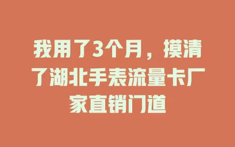 我用了3个月，摸清了湖北手表流量卡厂家直销门道