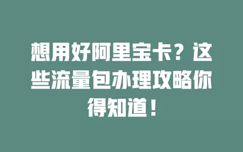想用好阿里宝卡？这些流量包办理攻略你得知道！