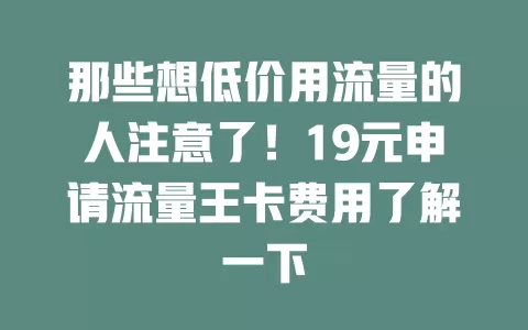 那些想低价用流量的人注意了！19元申请流量王卡费用了解一下