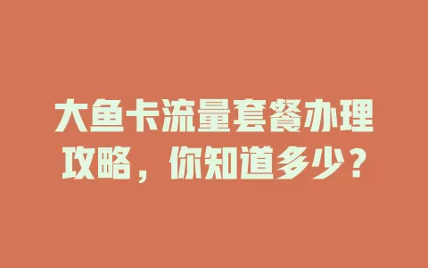 大鱼卡流量套餐办理攻略，你知道多少？