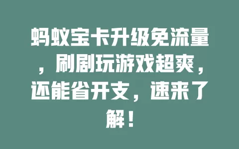 蚂蚁宝卡升级免流量，刷剧玩游戏超爽，还能省开支，速来了解！