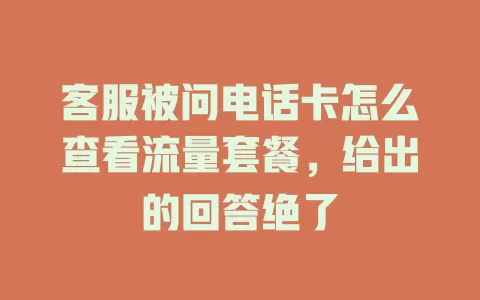 客服被问电话卡怎么查看流量套餐，给出的回答绝了