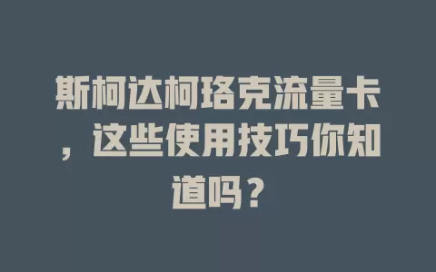 斯柯达柯珞克流量卡，这些使用技巧你知道吗？