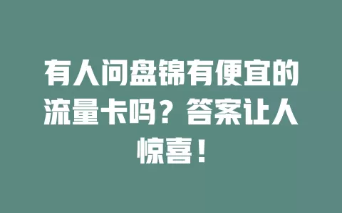有人问盘锦有便宜的流量卡吗？答案让人惊喜！