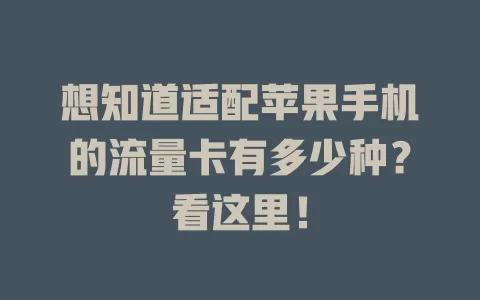 想知道适配苹果手机的流量卡有多少种？看这里！