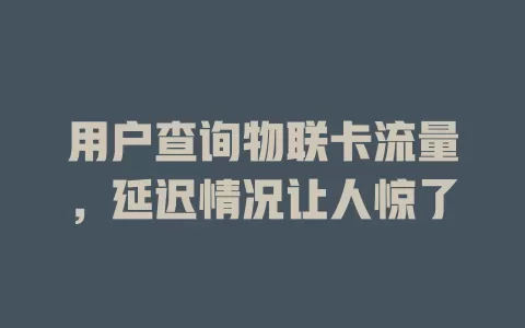 用户查询物联卡流量，延迟情况让人惊了