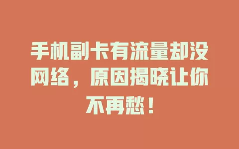 手机副卡有流量却没网络，原因揭晓让你不再愁！