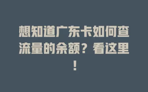 想知道广东卡如何查流量的余额？看这里！