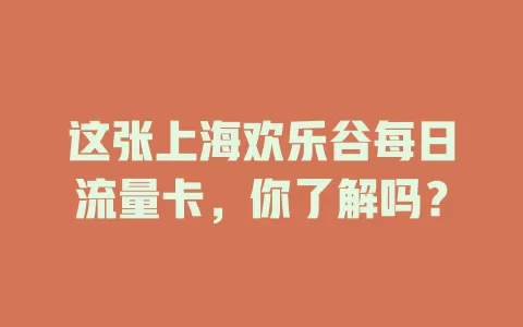 这张上海欢乐谷每日流量卡，你了解吗？