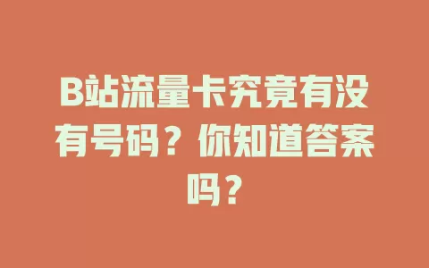 B站流量卡究竟有没有号码？你知道答案吗？