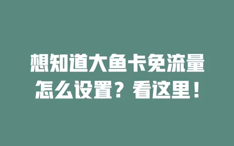 想知道大鱼卡免流量怎么设置？看这里！