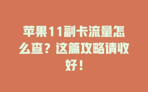 苹果11副卡流量怎么查？这篇攻略请收好！