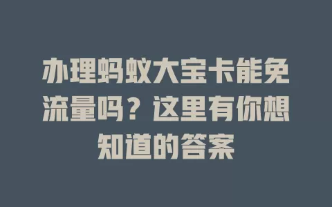 办理蚂蚁大宝卡能免流量吗？这里有你想知道的答案