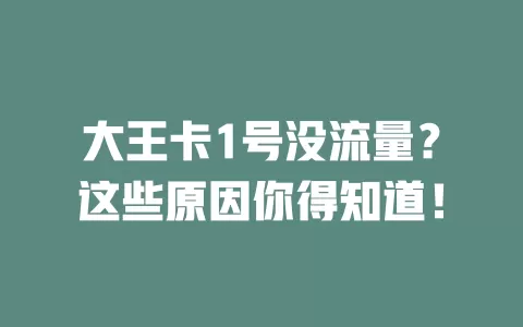 大王卡1号没流量？这些原因你得知道！