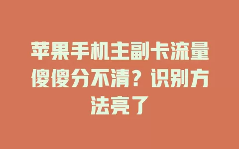 苹果手机主副卡流量傻傻分不清？识别方法亮了