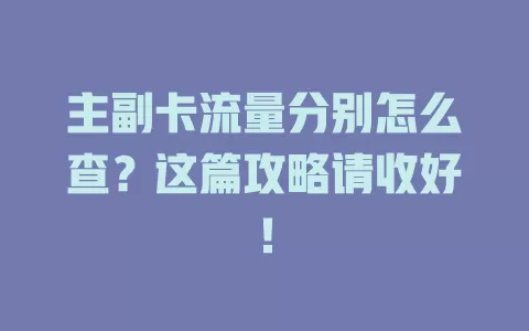主副卡流量分别怎么查？这篇攻略请收好！