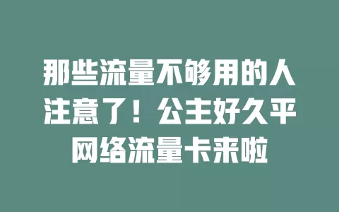 那些流量不够用的人注意了！公主好久平网络流量卡来啦