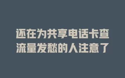 还在为共享电话卡查流量发愁的人注意了