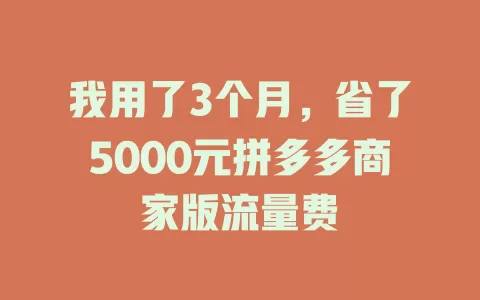 我用了3个月，省了5000元拼多多商家版流量费