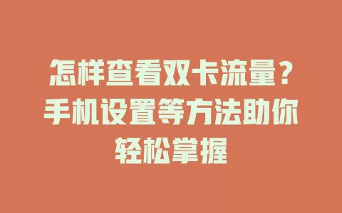 怎样查看双卡流量？手机设置等方法助你轻松掌握