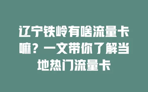 辽宁铁岭有啥流量卡嘛？一文带你了解当地热门流量卡