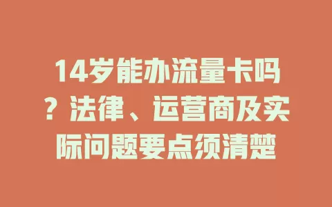 14岁能办流量卡吗？法律、运营商及实际问题要点须清楚