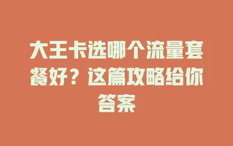 大王卡选哪个流量套餐好？这篇攻略给你答案