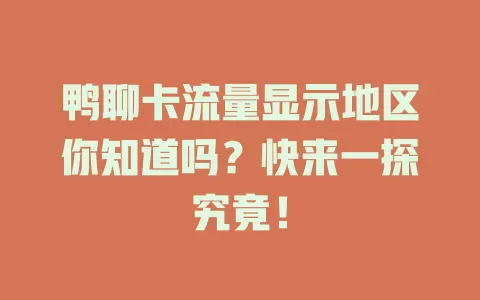 鸭聊卡流量显示地区你知道吗？快来一探究竟！
