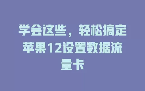 学会这些，轻松搞定苹果12设置数据流量卡